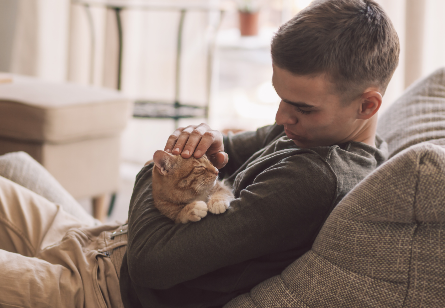 celebrar San Valentín con tu mascota